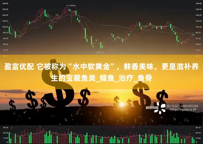 盈富优配 它被称为“水中软黄金”，鲜香美味，更是滋补养生的宝藏鱼类_鳗鱼_治疗_鱼骨