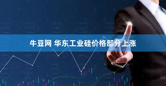 牛豆网 华东工业硅价格部分上涨