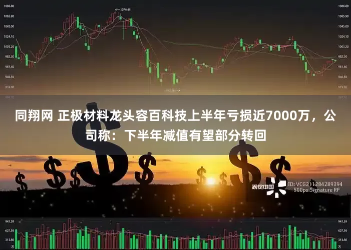 同翔网 正极材料龙头容百科技上半年亏损近7000万，公司称：下半年减值有望部分转回